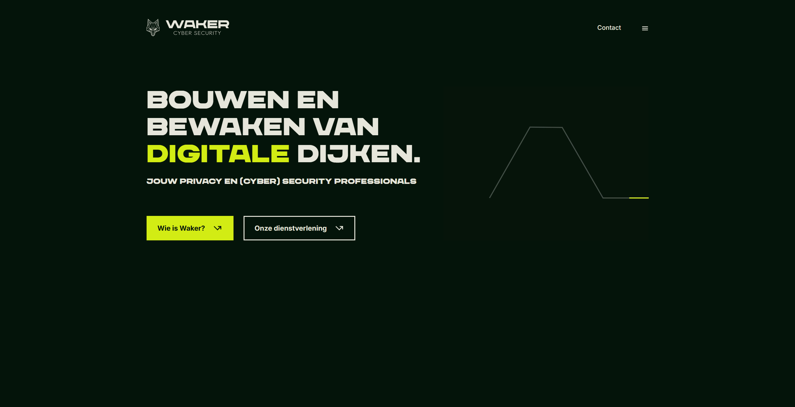 Waker Cyber Security project image